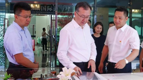 新疆维吾尔自治区领导伊力扎提·艾合买提江莅临不朽情缘mg官网温泉城视察指导